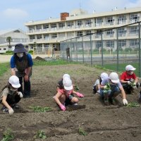 上手に植えることができたかな？　新型コロナウイルス感染症に対応した常陸太田市ガイドラインを掲載！