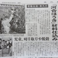 茨城新聞の記事になりました！