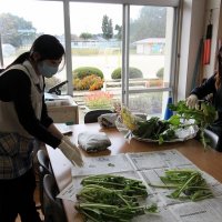 うさぎのえさとして野菜をいただきました！