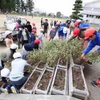 夏の花もそろそろ終わりですね！みんなで片付けようね！