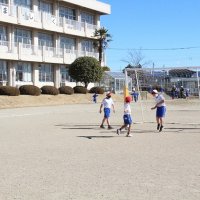 今日も元気に遊んでいました！