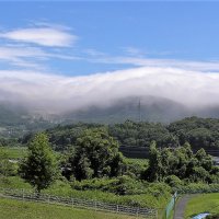 真弓山に滑昇霧(上昇霧)　絶景です