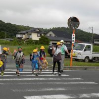 夏休み間近　登下校風景　　ミツバチの分蜂も見られました