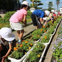 草をきれいに抜くことができたかな？