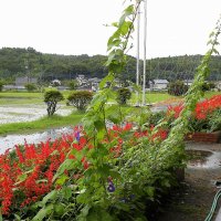 ８月１５日　今日の学校の様子　教室棟屋上防水改修工事終了