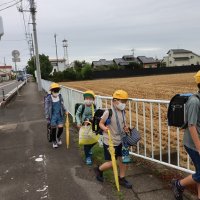 雨が降っていなくてよかったね！歩いて集団登校！