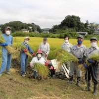 ９月２２日　今日は５年生の子供たちが稲刈りをするはずでした