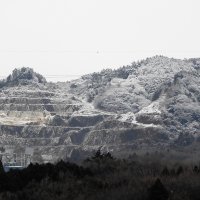 ２月14日（月）トピックス（雪の真弓山など）　