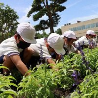 花壇をきれいにすることができたかな？