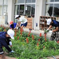 ７月１４日（木）トピックス（愛校作業・給食風景・タブレットを使った学習の様子等）