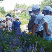 花摘みをしてくれてありがとう！