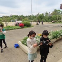 ５年生の理科「雲の観察」