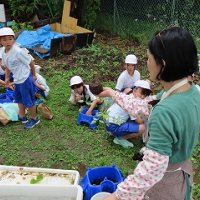 2年１組　苗植え