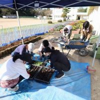 苗の仮植が進んでいますことに感謝です！