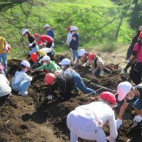 2年生　お芋掘り