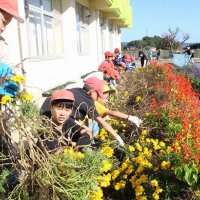 きれいに咲いていた夏の花ともお別れですね！