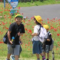 ３年生校外学習　さわやかな風の中遊び、真剣に学びました