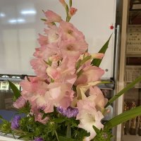 地域の方からお花をいただきました