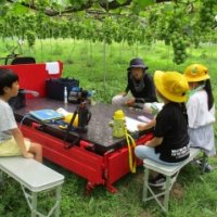 ３年生　ぶどう園の見学（２回目）