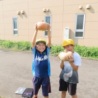 学校の里川カボチャが大きくなりました