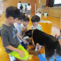 １年生　動物ふれあい教室